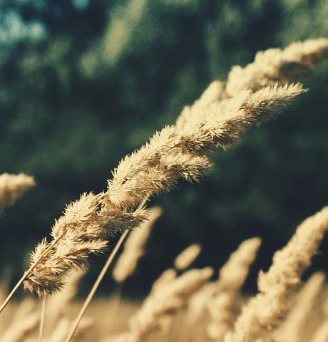 手机号压测工具