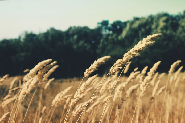 短信电话云轰炸