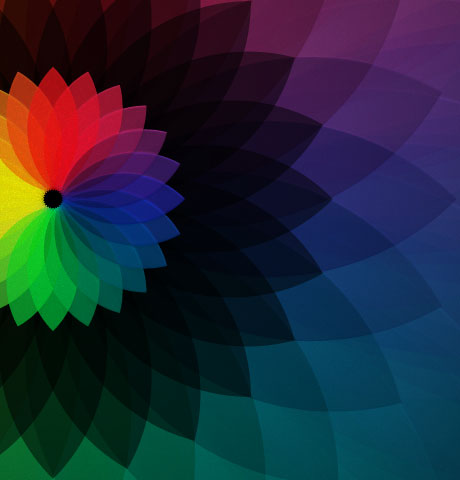 轰炸电话号码网站